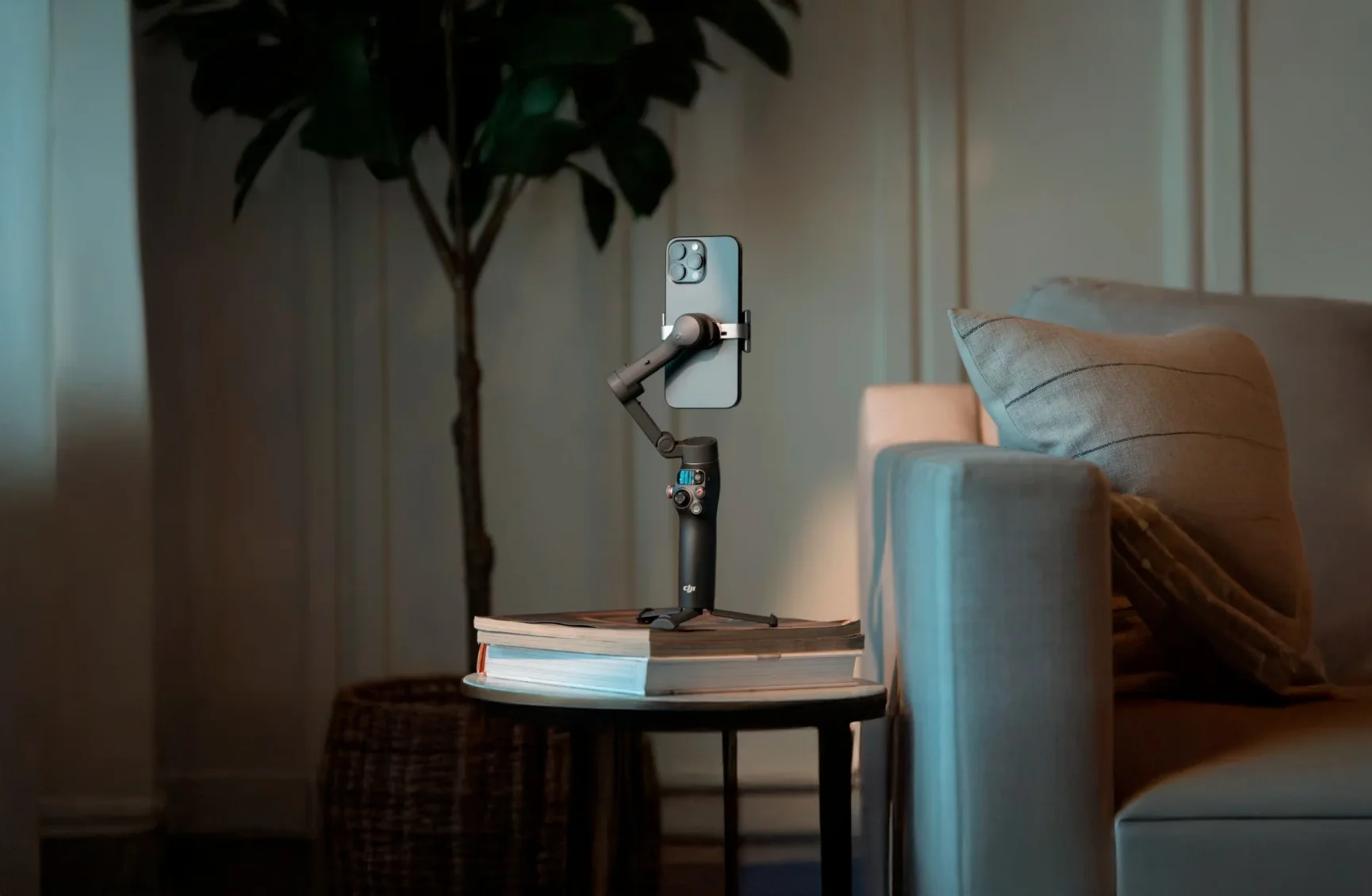 DJI FIP features